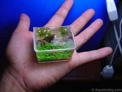 akvarium.jpg