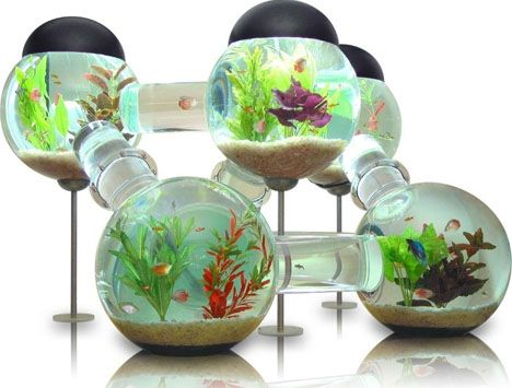 cool-fish-tank-design.jpg