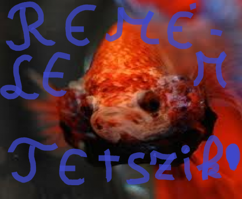 jlkl.png