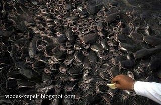 vicces-kepek-22-012.jpg